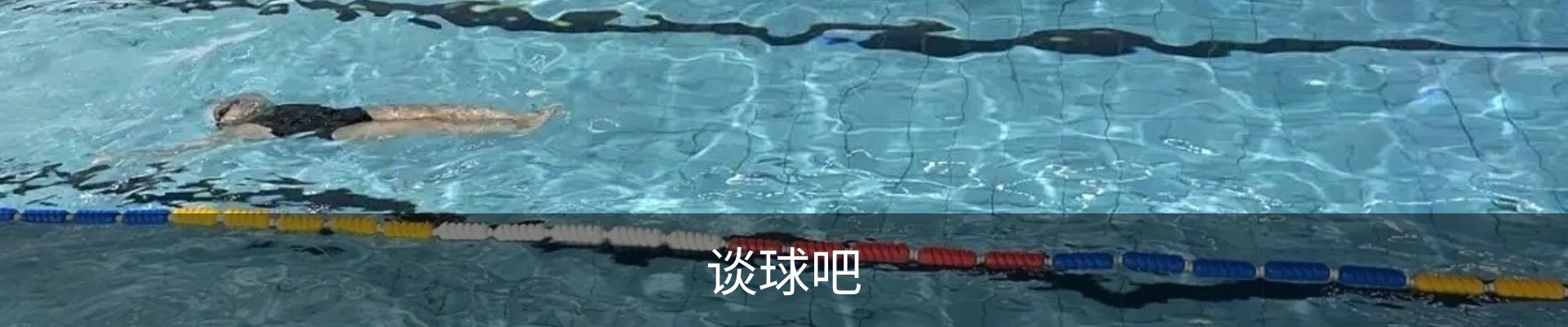 谈球吧